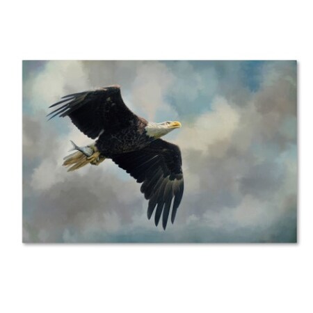 Trademark Fine Art